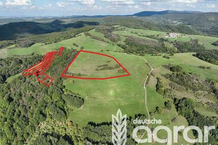 Grundstück in Schweisweiler 35.950,00 € 54844 m²