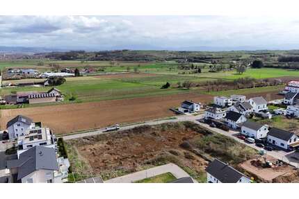 Wohnung zum Kaufen in Endingen am Kaiserstuhl 570.000,00 € 101.83 m²