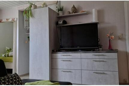 45m² Wohnung bezugsfertig & provesionsfrei in Altenau - Gifhorn