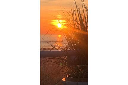 ❤️❤️FerienwohnungFerienhaus auf Usedom,in Zempin an der Ostsee❤️ - Koserow