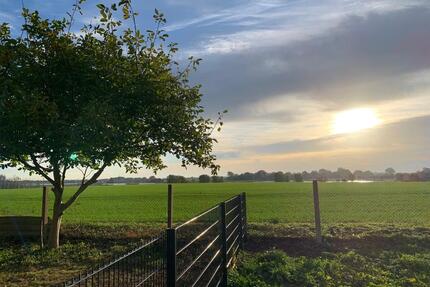 3-Zimmer-Wohnung mit Garten zu vermieten Insel Rügen - Garz/Rügen