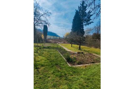 Freizeitgrundstück, Garten, Grundstück, HN Ost, mit Hütte - Heilbronn Kernstadt