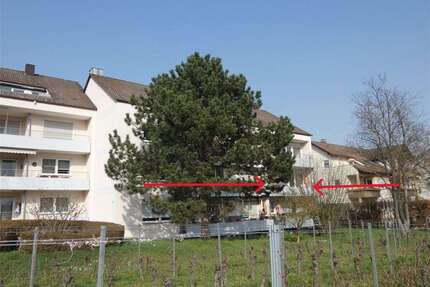 Wohnung zum Kaufen in Deidesheim 193.000,00 € 66 m²