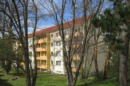 WSF: Guter Zuschnitt, ruhig, mit Balkon - Weißenfels