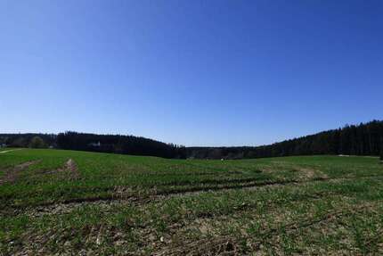 Grundstück in Altfraunhofen-Weihern 555.000,00 € 37100 m²