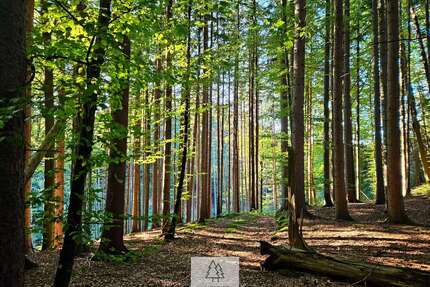 Grundstück in Weyarn 209.000,00 € 30485 m²