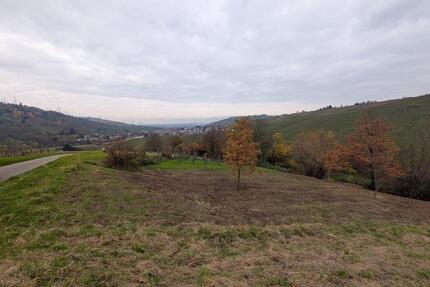 Grundstück mit herrlichem Panoramablick zu verpachten - Weinstadt