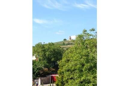 Blick & Lage!! helle - unvermietete 3,5 Zimmerwohnung ca. 88 qm mit Südbalkon - Bad Dürkheim