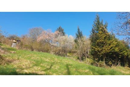 Gartengrundstück in 73630 Remshalden, Remstal, Nähe Stuttgart