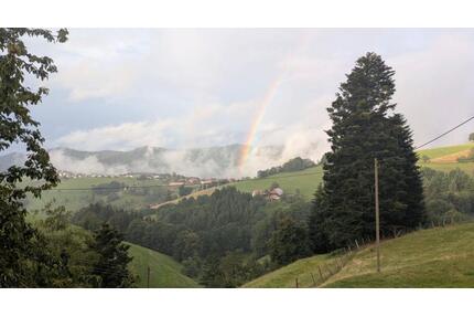 Helle 2-Zimmer-Wohnung mit Terrasse und Garten in Horben