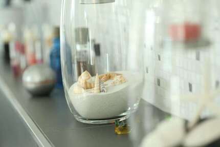 Haus zum Kaufen in Alt Tucheband 567.843,00 € 125 m²