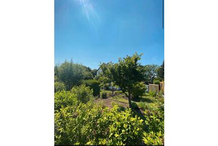 Gemütlicher Garten abzugeben (Stadtfeld- Rennetal) - Magdeburg Nordwest