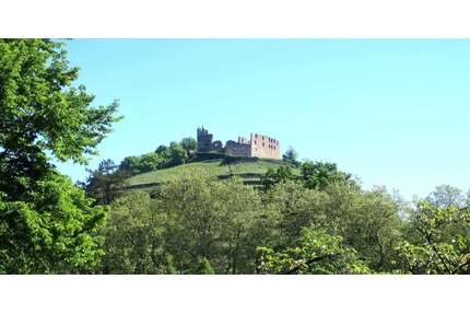 Wohnung zum Kaufen in Staufen 225.000,00 € 76 m²