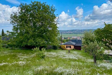 1400m² Gartengrundstück mit Elbtalblick zu verpachten - Dresden Cossebaude