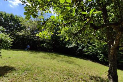 4-Zimmer-Einliegerwohnung mit Garten & Terrasse - Ahorn