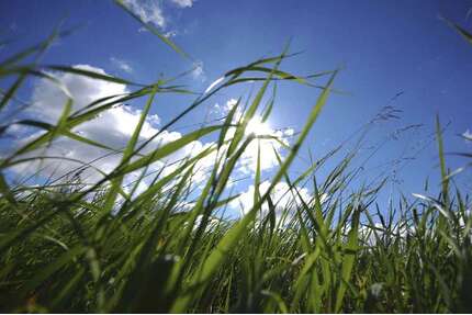 Grundstück zu verkaufen in Feldafing 650.000,00 € 545 m²