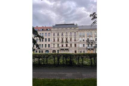 3,5 Zimmer Hochpaterre, 130 m², mit Hinterhof, Belle Epoque läßt grüßen, Anfragen bitte nur von 2 Personen max. mit einem kleinem Kind ! Park - Fürth Innenstadt