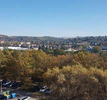 Wohnung zum Mieten in Gera 250,00 € 35 m²