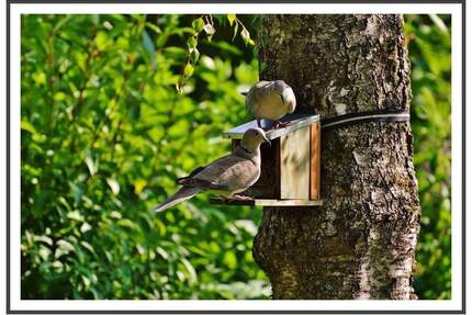 DG in SteglitzLankwitz: Kauf einfach gemacht: besichtigen, kaufen und einziehen:)) - Berlin