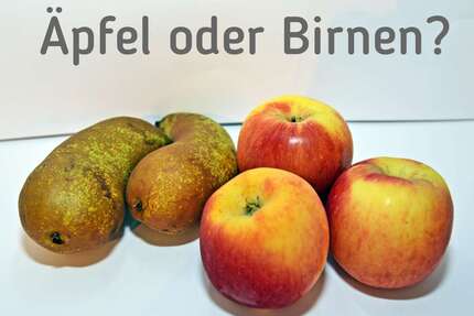 Haus zum Kaufen in Müncheberg 179.500,00 € 109 m²