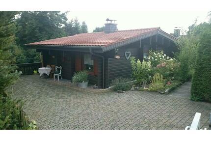 Ferienhaus Vogelsberg Hessen Waldrandlage Urlaub mit Hund - Antrifttal