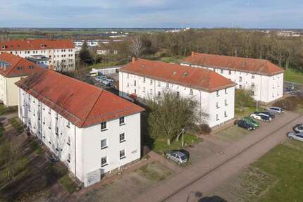 Wohnung zum Mieten in Torgau 282,00 € 42 m²