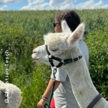 Alpaka-Wanderung in der Weilachmühle | Wellness für die Seele!