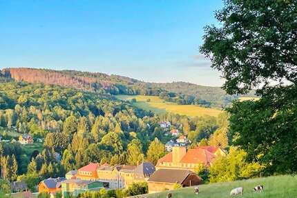 Haus zum Kaufen in Sebnitz 85.000,00 € 381 m²