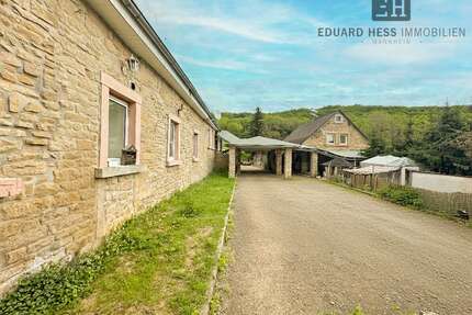 Haus zum Kaufen in Rockenhausen 40.000,00 € 522 m²