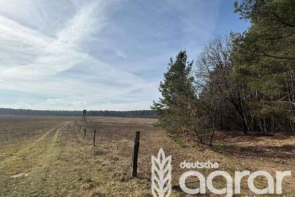 Grundstück in WittstockDosse 1.950.000,00 € 1872890 m² - Wittstock/Dosse