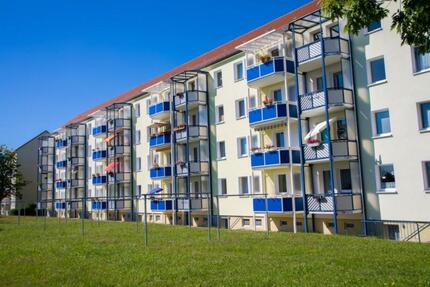 Immer auf der Sonnenseite...helle 2-RW mit Wanne & Balkon!!! - Freiberg
