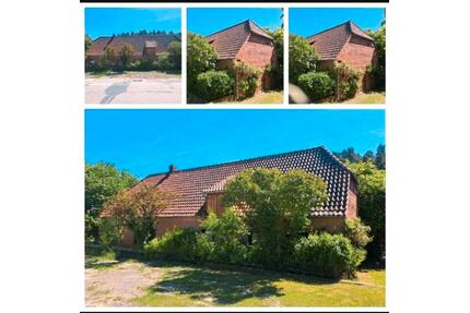 Wohnhaus Hitzacker Biosphärenreservat Elbe Lüchow Dannenberg Haus - Hitzacker (Elbe)