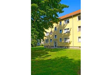 Wohnung zum Mieten in Ahlen 414,00 € 48.94 m²