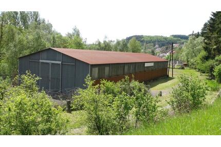 Lagerhalle, Produktionshalle - 1.000,00&nbsp;EUR Kaltmiete, ca.&nbsp; 2,08&nbsp;m&sup2; in Offenbach-Hundheim (PLZ: 67749)