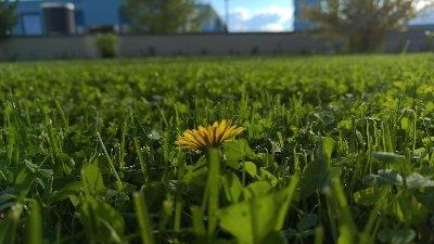 Bad Homburg - Zentrum - 4 Zimmer EG-Wohnung mit Garten - Frankfurt am Main Bonames