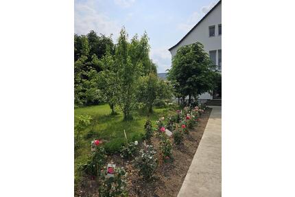 Ruhige, neu sanierte Wohnung - 800,00&nbsp;EUR Kaltmiete, ca.&nbsp; 85,00&nbsp;m&sup2; in Leuna (PLZ: 06237)