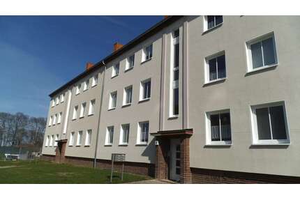 Wohnung zum Mieten in Magdeburg 470,00 € 62 m²