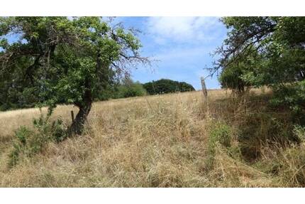 Baugrundstück in Hanglage von Rothenbuch PROVISIONSFREI