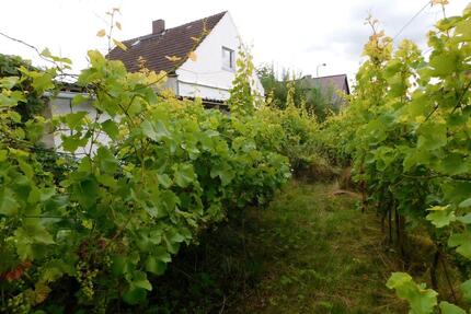 Kleines Haus auf großem romantischem Grundstück - Putlitz