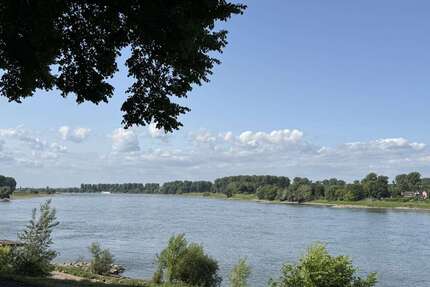 Wohnung zum Kaufen in Düsseldorf 1.495.000,00 € 183 m²