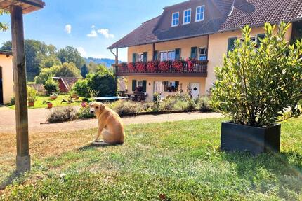 Pferdehof Bauernhof Pferdestell Reiterhof Resthof - Birkenfeld