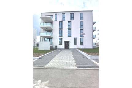 Wohnung zum Mieten in Wiesbaden 700,00 € 50.5 m²