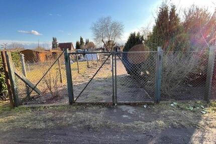 Garten mit Laube in 16269 Wriezen Zentrum zu verpachten