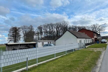 Freist.,barrierefreies Haus 3Z mit Garten in Ohrdorf, Kaltmiete - Wittingen
