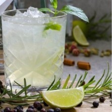 Gin Tasting | vomFASS Karlsruhe