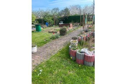 Pachtgarten - 3.000,00&nbsp;EUR Kaltmiete, ca.&nbsp; 0,00&nbsp;m&sup2; in Magdeburg (PLZ: 39126) Barleber See