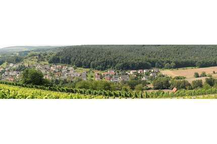Wohnung zum Mieten in Elsenfeld 1.715,00 € 127 m²
