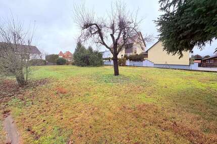 Grundstück zu verkaufen in Hallerndorf Ot Trailsdorf 258.000,00 € 754 m²