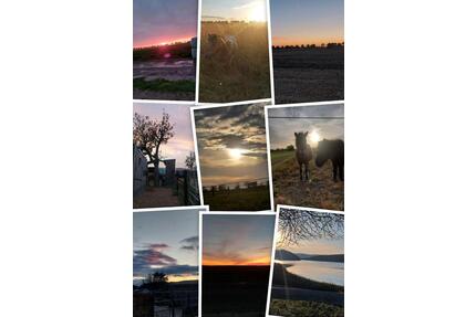 Schöne 2 Zimmer Wohnung im OG - 680,00&nbsp;EUR Kaltmiete, ca.&nbsp; 75,00&nbsp;m&sup2; in Zülpich (PLZ: 53909)