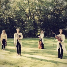 Ladystrings
